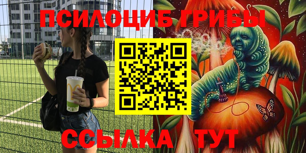 Псилоцибиновые грибы Cubensis Артём