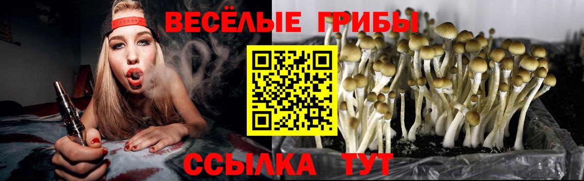 Галлюциногенные грибы GOLDEN TEACHER  Вход с VPN  Галлюциногенные грибы мицелий  Артём 